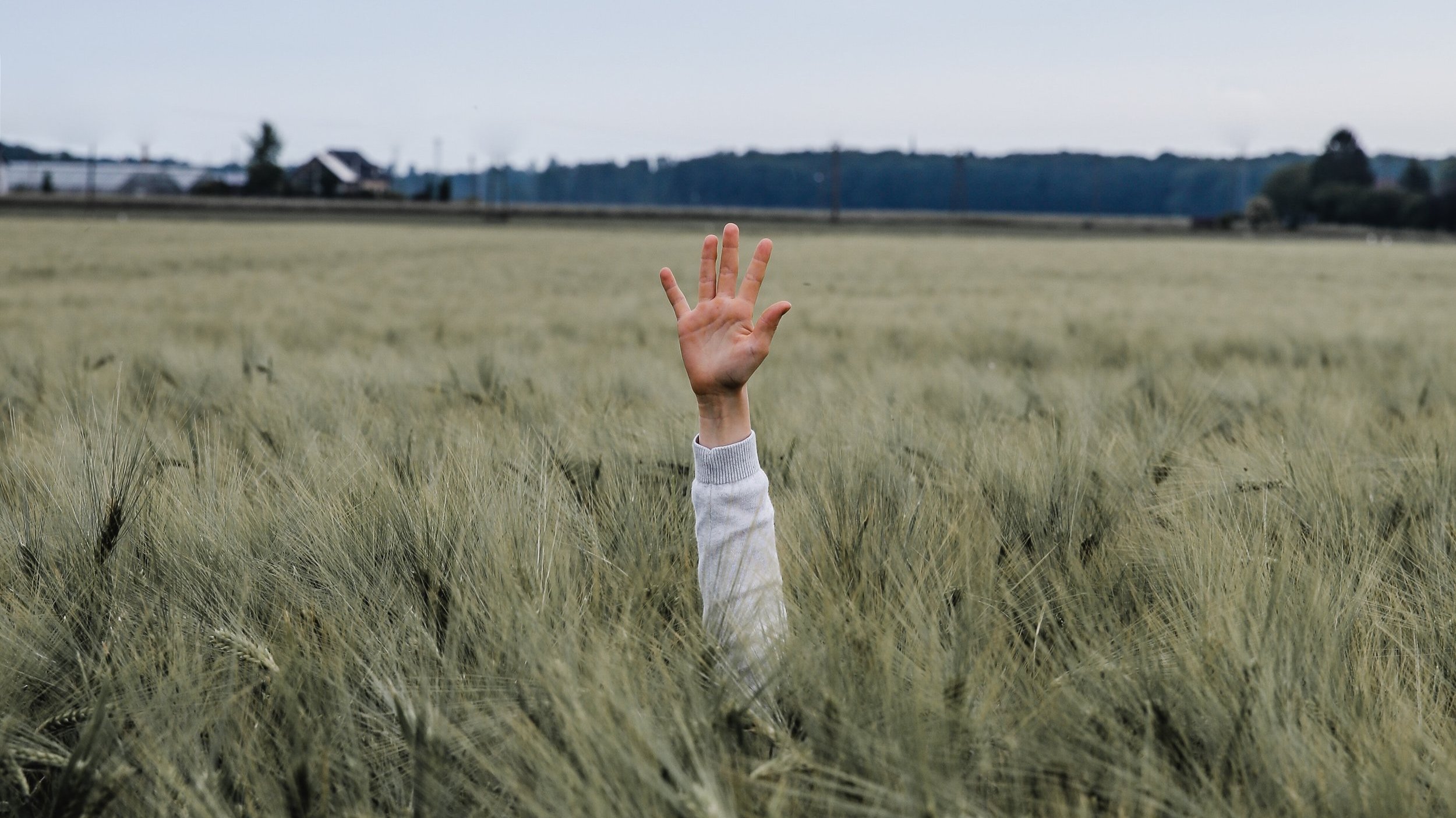 Top 5 Reasons Your Marketing Ideas Are Lacking Lately